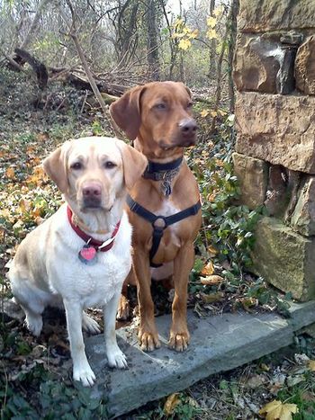 Kaden and big sister Carly enjoying the fall weather.
