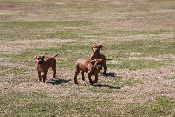 Madi's three sons....
