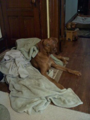 Kaden helping Toni with the laundry
