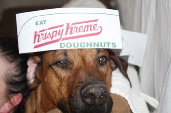 Kal wearing his Krispy Kerme hat!
