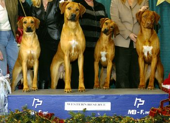 Oliver far right with Madi, Rocco & Kalimba at the Cleveland Classic show in December
