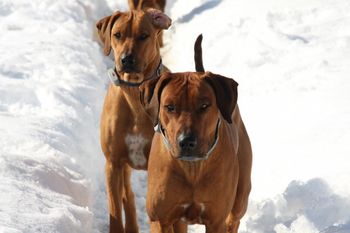 Eli and Madi coming in from playing in the snow.
