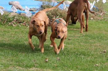 Elsa and her gal Kamali during a recent visit!
