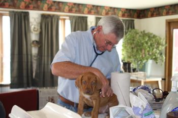 Dr. Ken Felix with our boy Kaden from our 2010 litter
