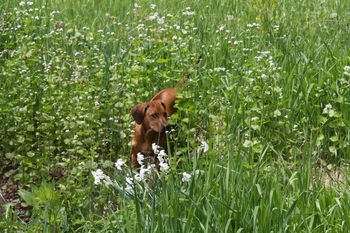 Madi across the creek
