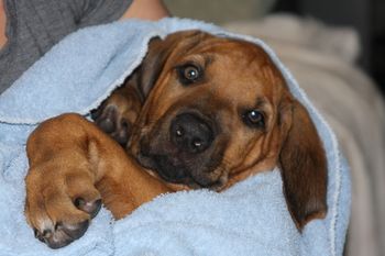 Logan after his going home bath.
