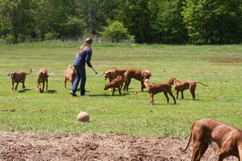 This is Susan and the gang when they visited from North Carolina
