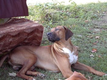 Kal was practicing for his photo shoot with Mae Ford.
