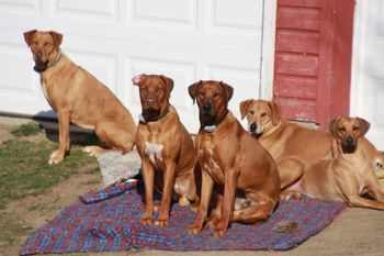 Elsa,Oliver, Eli, Allie & Kenya April 18, 2009
