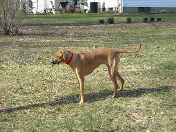 Mavis loves the outdoors!
