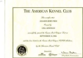 Elsa received this (CGC) Canine Good Citizen award in September 2006

