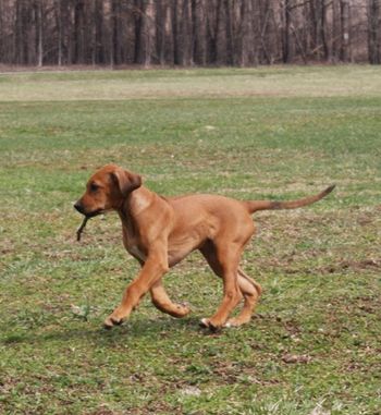 Madi out playing with her siblings today.
