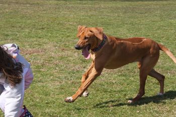 Jaz plays with Meggie who came with her family to play with the Maloni gang!
