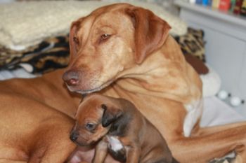 Elsa with little Kali
