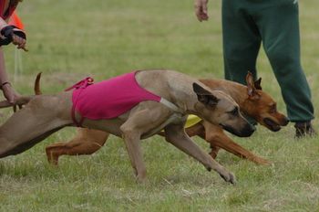 Kal's mother Emma is a beautiful blond here coursing.
