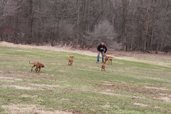 Niki's dad Brian playing with Madi and the pups!
