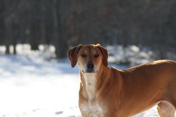 Allie loves the winter weather
