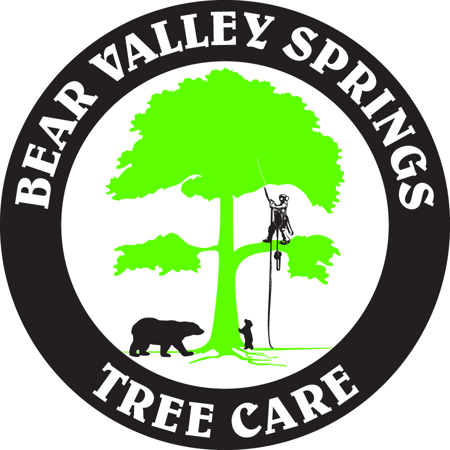 bear-valley-springs-tree-care-service-area