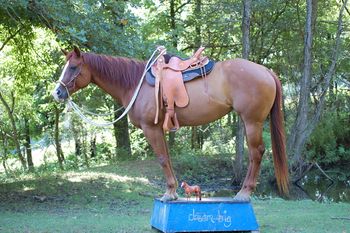 jane(s) on a pedestal
