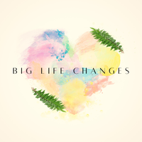 Big Life Changes by Kara Kaufmann Custom Songs