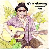 Fool On A Stool (Part 1) by The Paul Anthony Band