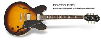 Epiphone ES 339 pro
