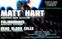 Post Plague presents Matt Hart, Palindrones, Dead Blood Cells