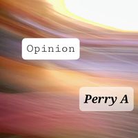 Opinion by Perry A