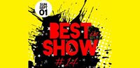 Best in Show #14