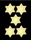 Pay it Forward - Give the gift of 5 Star of David Pins!
