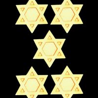 Pay it Forward - Give the gift of 5 Star of David Pins!