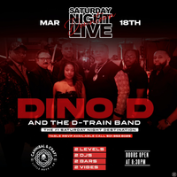 DINO D & THE D TRAIN BAND