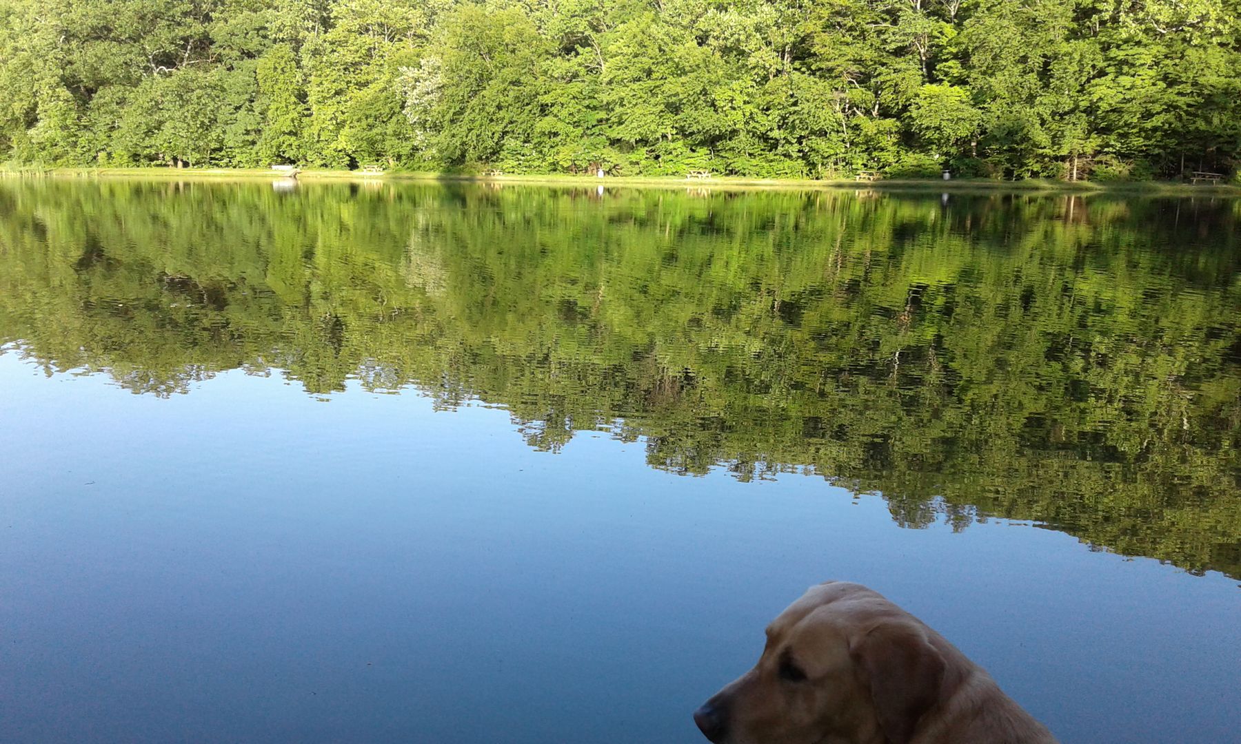 Indian Creek Fishing & Firearms