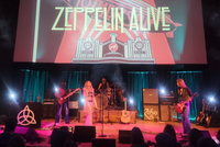 Zeppelin Alive at Wild Goose Saloon