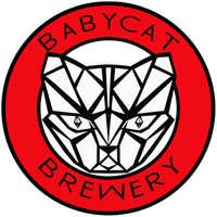 O'McPub Band at Babycat Brewery