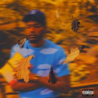 TIL FALL COMES by OfAllBank$