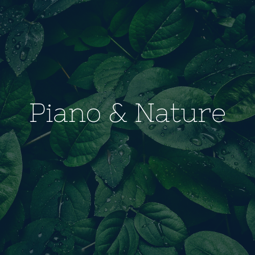 Piano & Nature, Instrumental playlist, solo piano playlist, piano & nature sounds