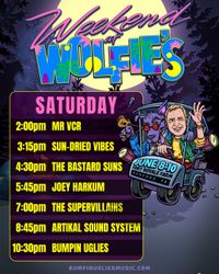 MR VCR Live at Weekend at Wolfies 2023