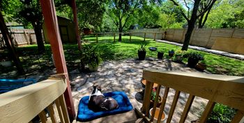 Backyard Texas 2023
