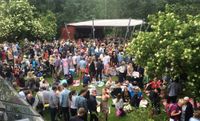 Vintervikens Bluegrassfestival
