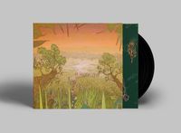 MIRAGE ON THE MEADOW LP: Vinyl