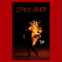 LIFES CRAZY POSTER (SIGNED)