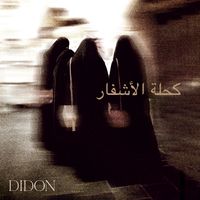Raven Lashes - كحلة الأشفار by Didon