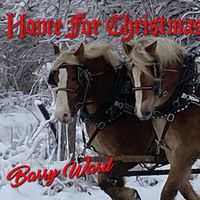 Home for Christmas by Barry Ward