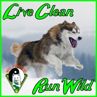 Live Clean, Run Wild by WooFPlay Band