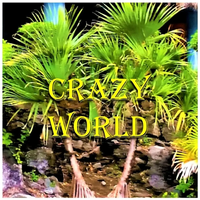 Crazy World by Gene O.