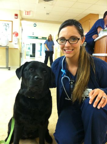 Kira doing one of many hospital therapy visits. She and Hayley are both certified! Tableau temperaments are important!
