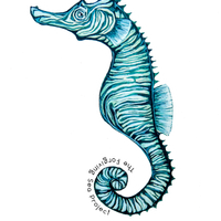 Seahorse sticker