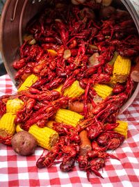 The Crawdad Festival 