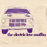 Early Demos by Electric Love Muffin